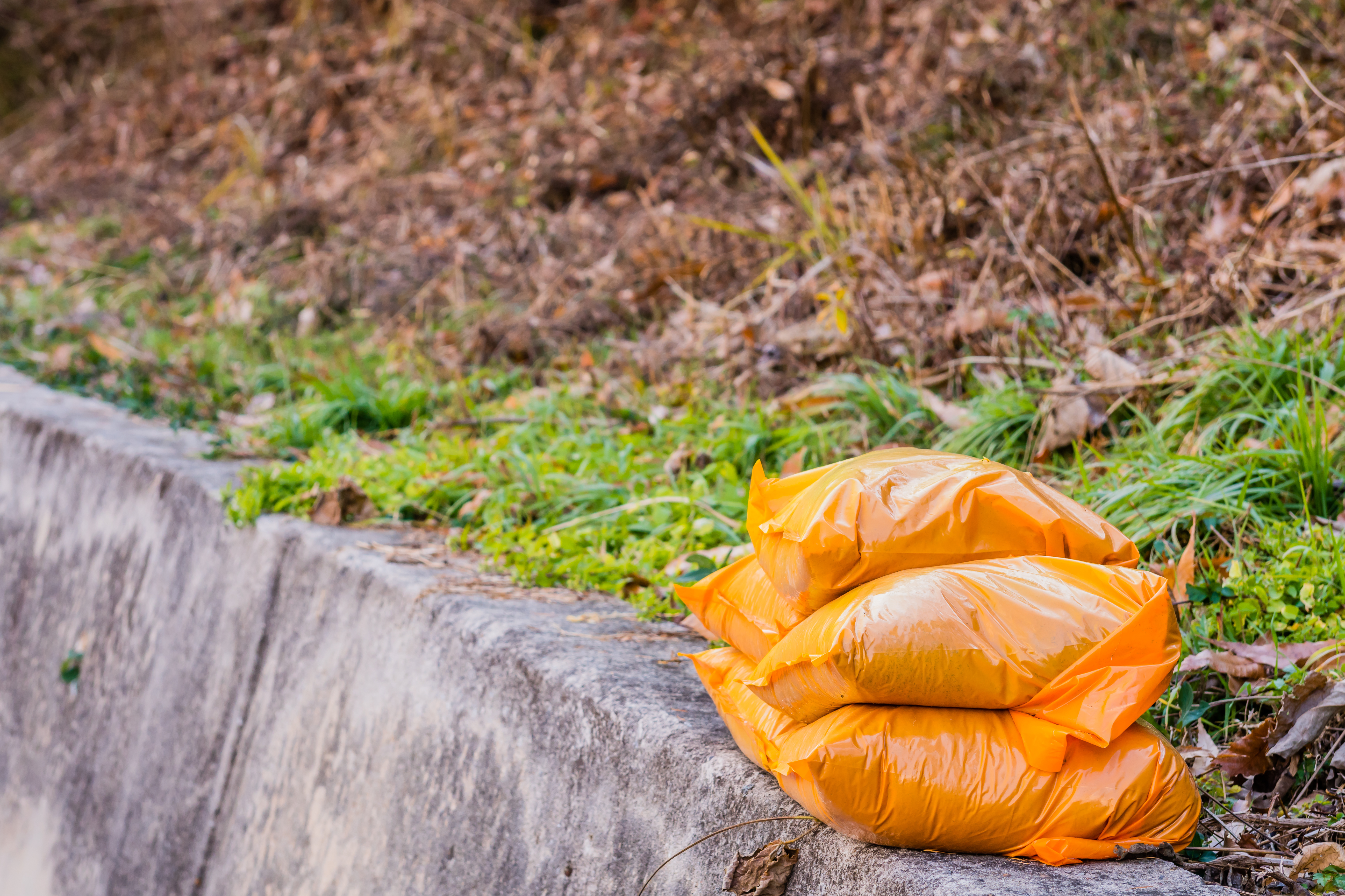 Sandbags in Langley City