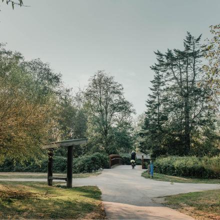 Paved trail path intersection. The trails are surrounded with trees. There is a person riding their bike on the trails.
